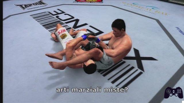 La solución indiscutible de UFC 2010