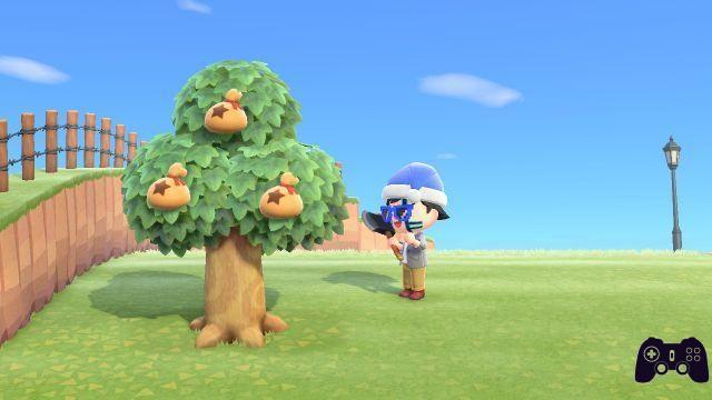 Guías Cómo ganar dinero rápido en Animal Crossing: New Horizons