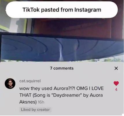 iOS 14, TikTok reads your notes all the time