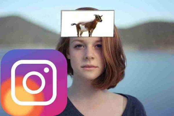 Teste de cabeça do Instagram como fazer o download e como funciona