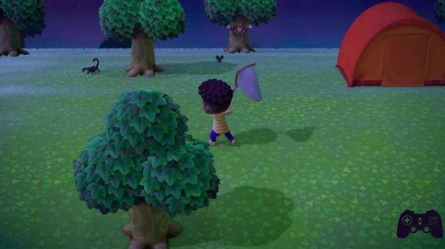 Animal Crossing Guide: New Horizons - Cómo atrapar escorpiones