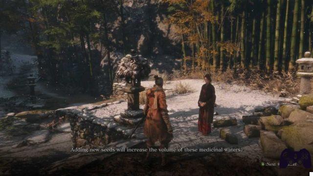 Sekiro: where to find all the Pumpkin Seeds | Guide