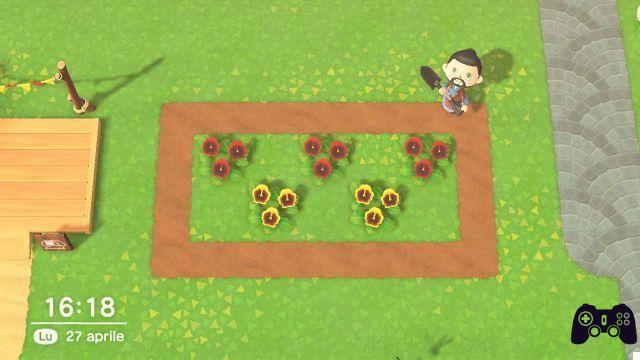 Animal Crossing: New Horizons, cultiva flores híbridas y coloridas