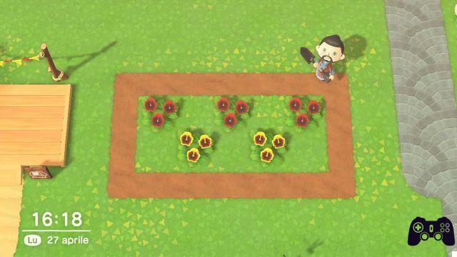 Animal Crossing: New Horizons, cultiva flores híbridas e coloridas