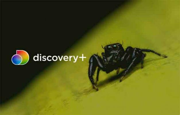 Cómo ver Discovery+ en iPhone, iPad y Android