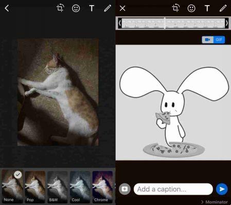 WhatsApp for iOS: added filters and albums for photos and videos