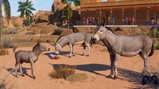 Planet Zoo: Arid Animal Pack, the review of the package that will fill your zoo with sand