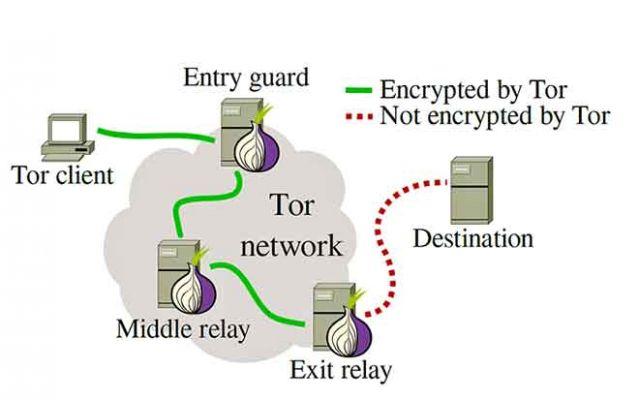Navegador Tor, ¿qué es y cómo funciona?