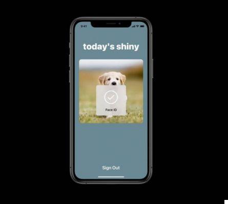 iOS 14, Safari supports access to sites with Face ID: goodbye passwords