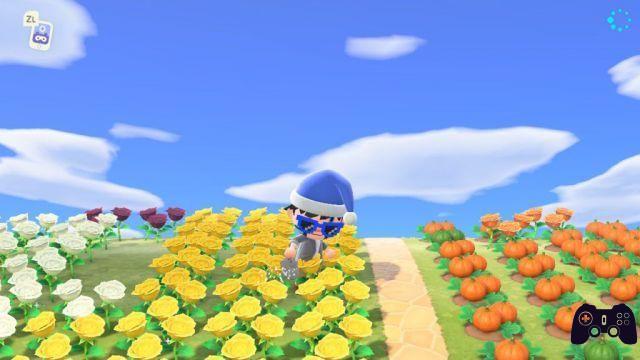 Guides Que faire tous les jours sur Animal Crossing: New Horizons