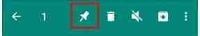 How to block the most important WhatsApp conversations at the top