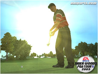 Tiger Woods PGA Tour 2002 - Trucos