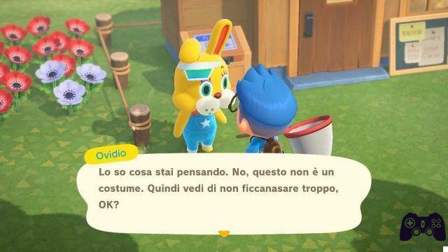 Animal Crossing: New Horizons, find eggs for Bunny Day