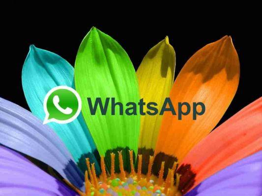 Change WhatsApp wallpapers how to do and the best applications