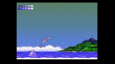 Here is the Dolphin - Cheats