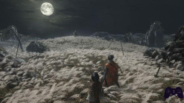 Special Sekiro and the hidden Lore