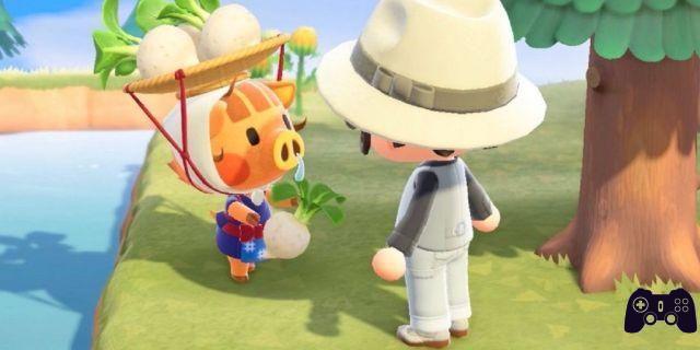 Guide Animal Crossing: New Horizons - Guide des navets et Brunella