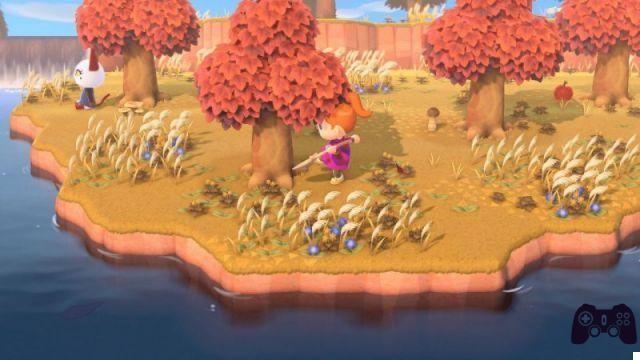 Animal Crossing: New Horizons, 10 coisas para fazer todos os dias