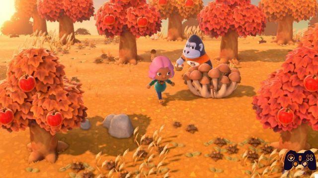 Animal Crossing: New Horizons, 10 cosas que hacer todos los días