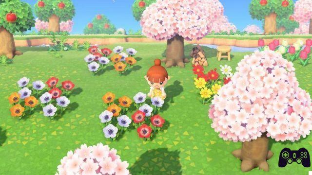 Animal Crossing : New Horizons, 10 choses à faire tous les jours