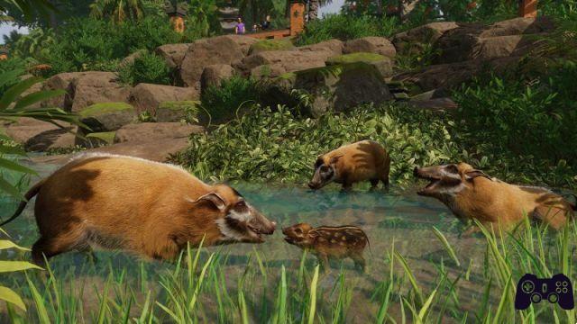 Planet Zoo : Tropical Pack, la revue de l'extension pleine de singes