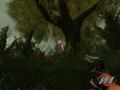 La solution complète de Far Cry Instincts