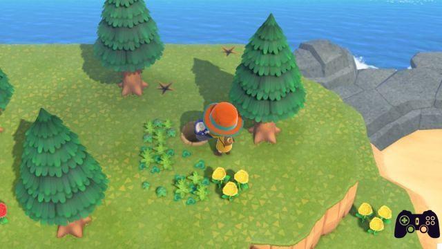 Animal Crossing: New Horizons, Nook + Miles guide