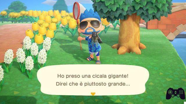 Animal Crossing: New Horizons, peces e insectos de julio