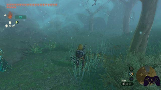 The Legend of Zelda: Tears of the Kingdom, cómo superar el Bosque Perdido para llegar al Korogu