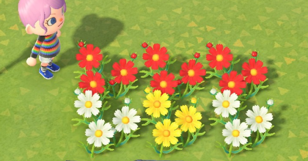 Guide Animal Crossing: New Horizons - Guide to flowers and hybrid crossings