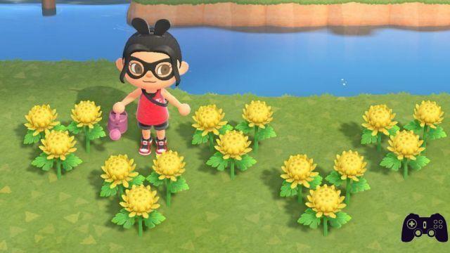 Guide Animal Crossing: New Horizons - Guide to flowers and hybrid crossings