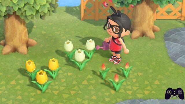 Guide Animal Crossing: New Horizons - Guide to flowers and hybrid crossings