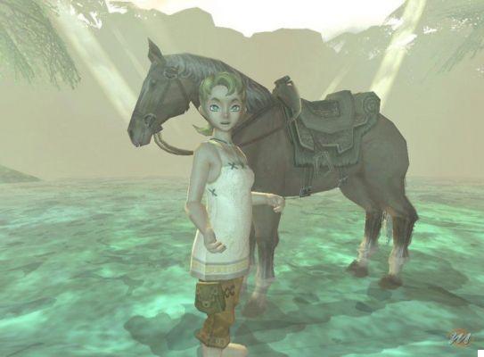 The complete walkthrough of The Legend of Zelda: Twilight Princess