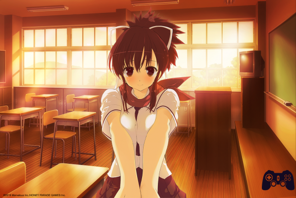 senran kagura reflexions physical release senran kagura reflexions physical release