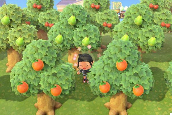 Animal Crossing: New Horizons - Guía sobre cómo ganar dinero rápido