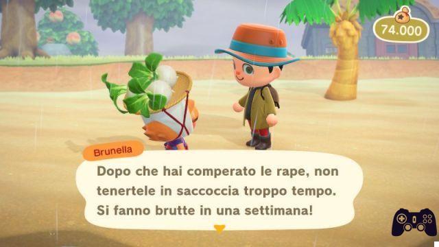 Animal Crossing: New Horizons, guia para nabos